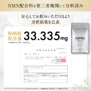 NMN サプリ 1ヶ月分 1000mg 成分量...の詳細画像3