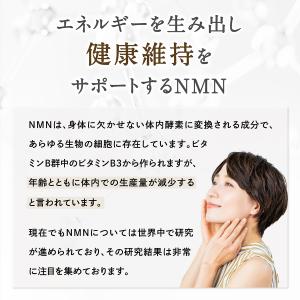 NMN サプリ 1ヶ月分 1000mg 成分量...の詳細画像4