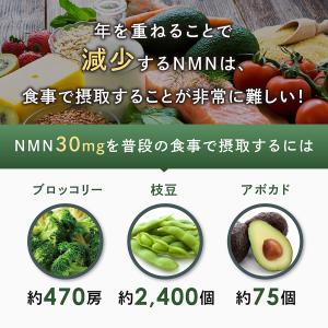 NMN サプリ 1ヶ月分 1000mg 成分量...の詳細画像5