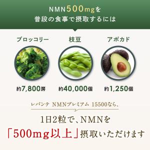 NMN サプリ 15500 成分量分析済 レバ...の詳細画像5