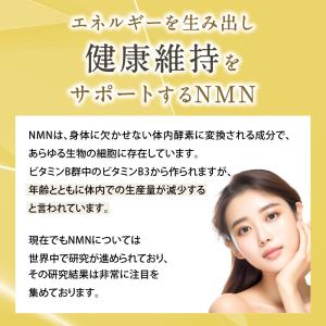 NMN サプリ 15500 成分量分析済 レバ...の詳細画像4