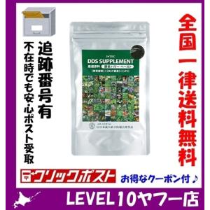 DDS SUPPLEMENT サプリメント 30包入 150g 酵素パワー
