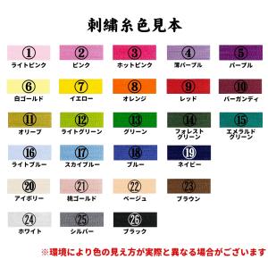 アイロンワッペン 名前 ネーム アルファベット...の詳細画像4