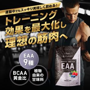 LEVEL.FIT EAA ミックスベリー風味...の詳細画像1