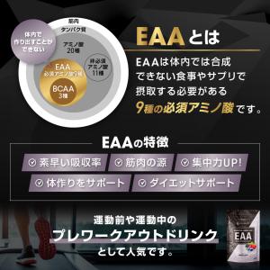 LEVEL.FIT EAA ミックスベリー風味...の詳細画像3