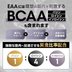 LEVEL.FIT EAA ミックスベリー風味...の詳細画像5