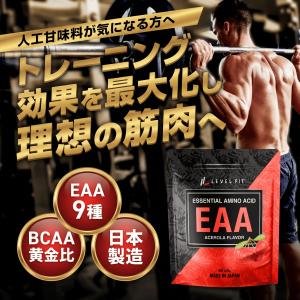 LEVEL.FIT EAA パウダーアセロラ風...の詳細画像1