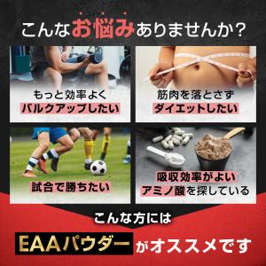 LEVEL.FIT EAA パウダーアセロラ風...の詳細画像2