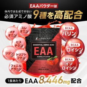 LEVEL.FIT EAA パウダーアセロラ風...の詳細画像4