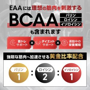 LEVEL.FIT EAA パウダーアセロラ風...の詳細画像5