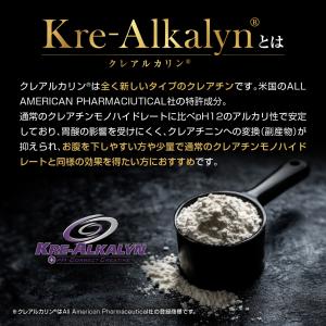 LEVEL.FIT HMB クレアチン サプリ...の詳細画像5