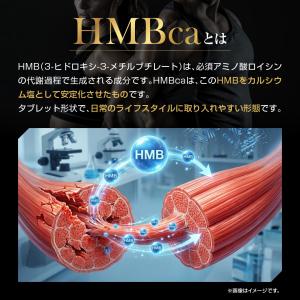 LEVEL.FIT HMB クレアチン サプリ...の詳細画像4
