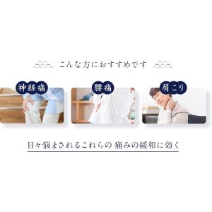 【薬用入浴剤 下呂】名湯百景 入浴剤 25g ...の詳細画像3