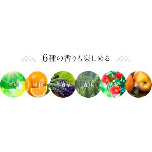 【薬用入浴剤 下呂】名湯百景 入浴剤 25g ...の詳細画像5