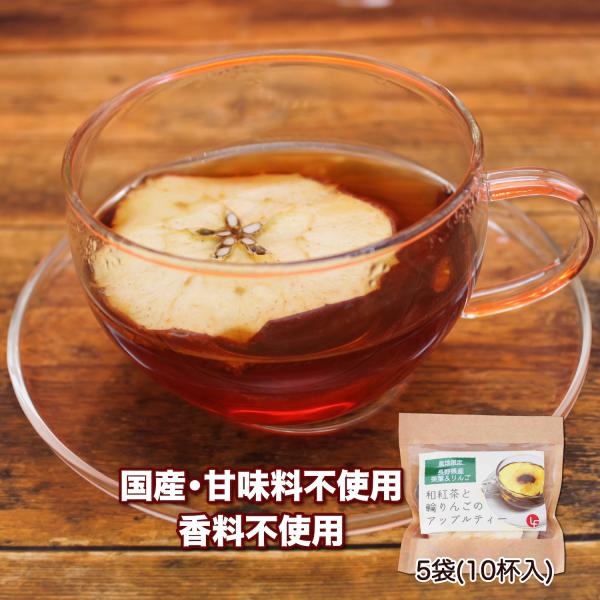 アップルティー 紅茶 ティーバッグ りんご 5袋 食べれるフルーツティー ドライフルーツ 和紅茶 ギ...