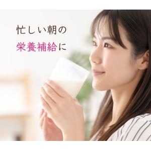 焙煎エンドウパウダー 500g ダイエット 栄...の詳細画像4