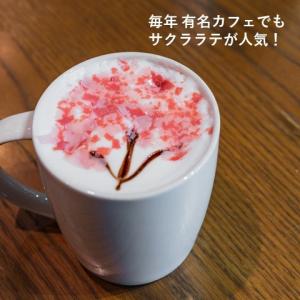 桜 シロップ さくら ラテ 和菓子 茶 スイー...の詳細画像5
