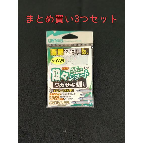 ワカサギ 仕掛け 1号 ハリス0.2 オーナー 段々ショートワカサギ狐