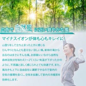 マイナスイオン扇風機 新林の滝 タイマー付 扇...の詳細画像4