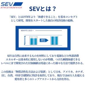 「レビューで延長保証+6ヶ月!」 SEV ルー...の詳細画像2