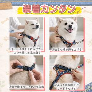 犬 ハーネス リード セット 小型犬 中型犬 ...の詳細画像4