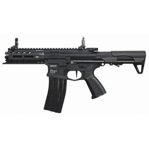 G&G ARMAMENT 【G&G ARMAMENT】【G&G電動ガン】 ARP 556 EGC-ARP-556-BNB-NCS｜LIBERATOR