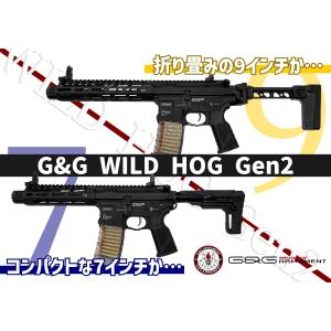 G&G G&G ARMAMENT GC16 Wild Hog 9