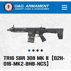 G&G ARMAMENT 【G&G ARMAMENT】【G&G電動ガン】 TR16 SBR 308 MK2 (G2H-016-MK2-BNB-NCS)