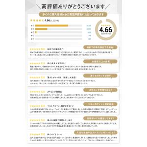 【地球の歩き方掲載】公式 セキュリポ セキュリ...の詳細画像4