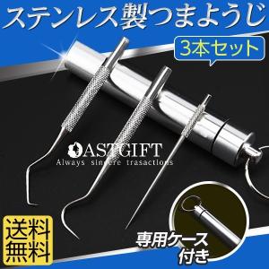 爪楊枝 つまようじ ステンレス ピック 専用ケース 携帯