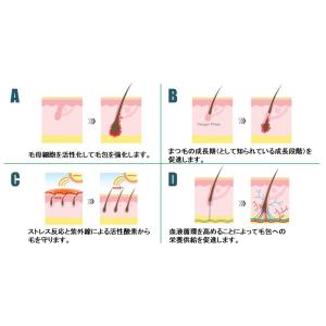 ペロバーム ラッシュラッシュ5ml 睫毛 まつ...の詳細画像3