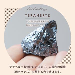 TERA TOOTHBRUSH(テラヘルツ歯ブ...の詳細画像3