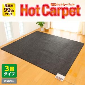 ゼンケン ホットカーペット 1畳 本体+カバー 電磁波 防止 : セレクト