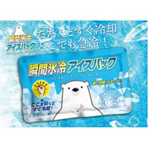 東亜産業 瞬間氷冷アイスパック