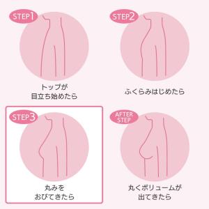 ウイング ティーン ステップ3 つけはじめ ブ...の詳細画像5