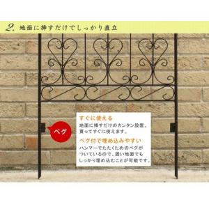 アイアンローズフェンス 2枚組 150高 仕切...の詳細画像3