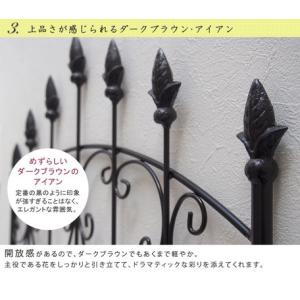 アイアンローズフェンス 2枚組 150高 仕切...の詳細画像4