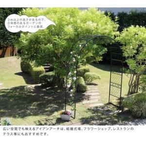 ワイドアイアンアーチ アンティーク ガーデンア...の詳細画像5