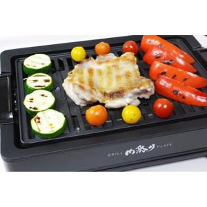 食品乾燥機ドライフード工房 FDS-77 ドライフードメーカー フード