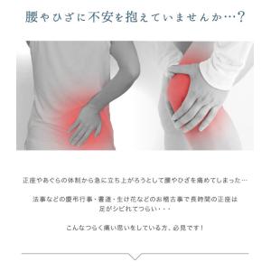 正座椅子ミドルタイプ 背もたれ付き らくらくコ...の詳細画像3
