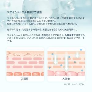 エプソムソルト (10kg) 無香料 硫酸マグ...の詳細画像5