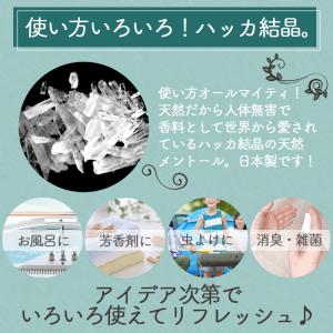 ハッカ結晶 100g 薄荷脳 L-メントール ...の詳細画像1