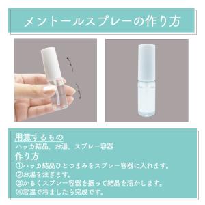 ハッカ結晶 100g 薄荷脳 L-メントール ...の詳細画像2