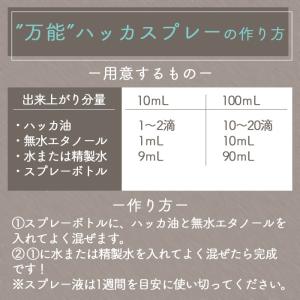 ハッカ油 ハッカオイル 天然100% (200ml)の詳細画像4