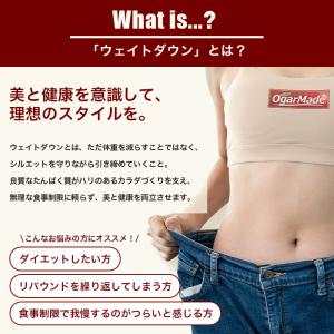 【全商品ポイント5倍】ダイエットにおすすめ! ...の詳細画像2