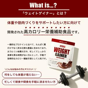 ウェイトゲイナー ウエイトゲイナー プロテイン...の詳細画像2