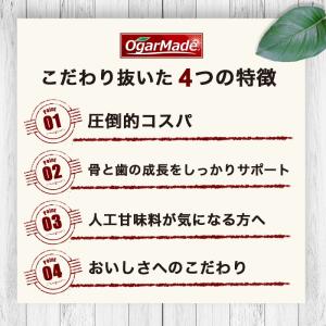 ジュニアプロテイン 600g 栄養機能食品 プ...の詳細画像3