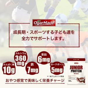 ジュニアプロテイン 600g 栄養機能食品 プ...の詳細画像3