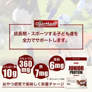 ジュニアプロテイン 600g 栄養機能食品 プ...の詳細画像4