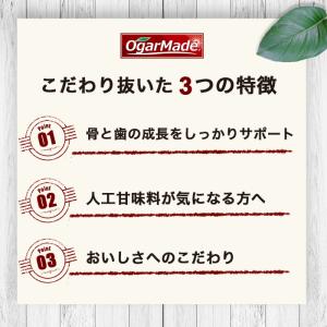 ジュニアプロテイン 600g 栄養機能食品 プ...の詳細画像4